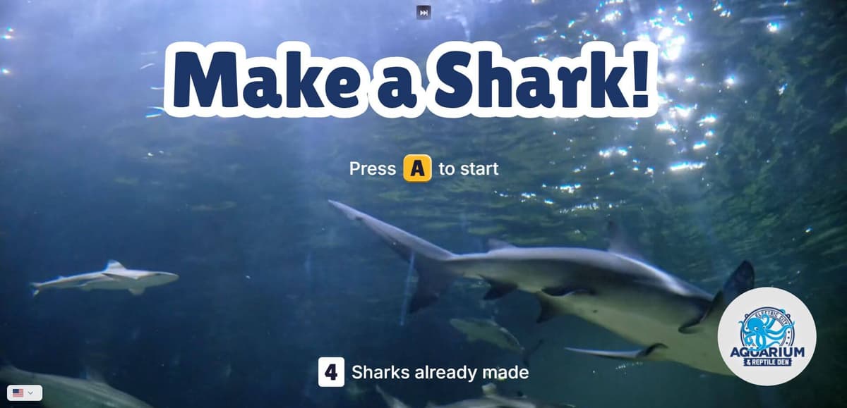 Make a Shark